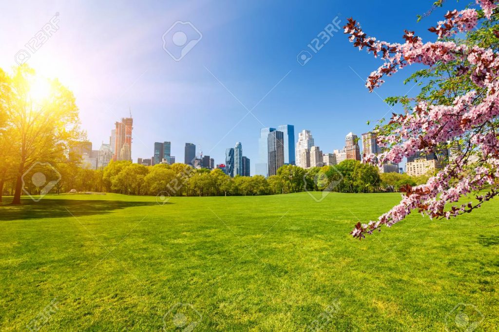 73760098 central park at spring sunny day new york city